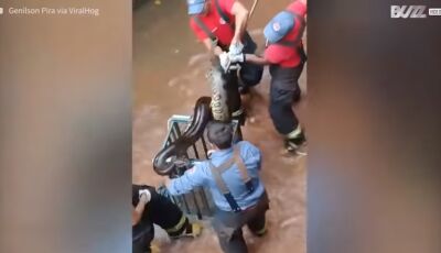 VÍDEO: Sucuri ataca bombeiro durante resgate, ASSISTA!